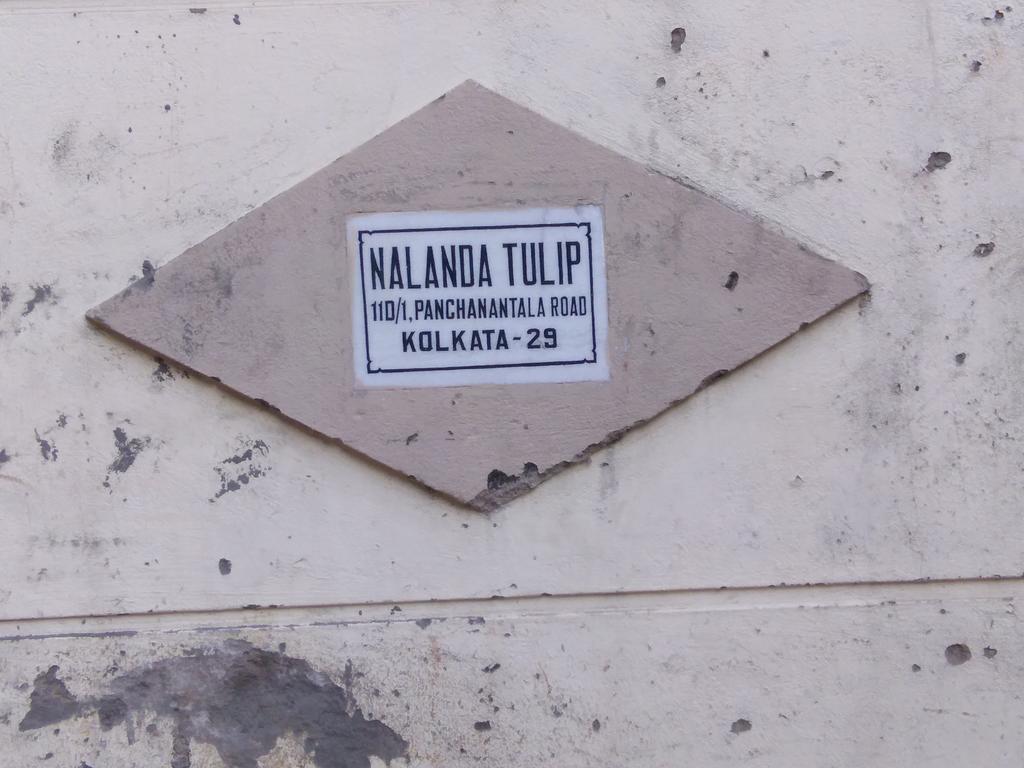 Nalanda Tulip *